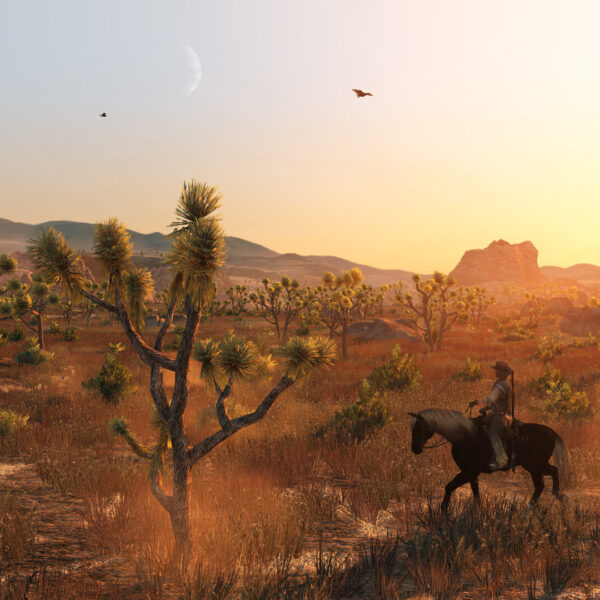 Купить Red Dead Redemption ключ